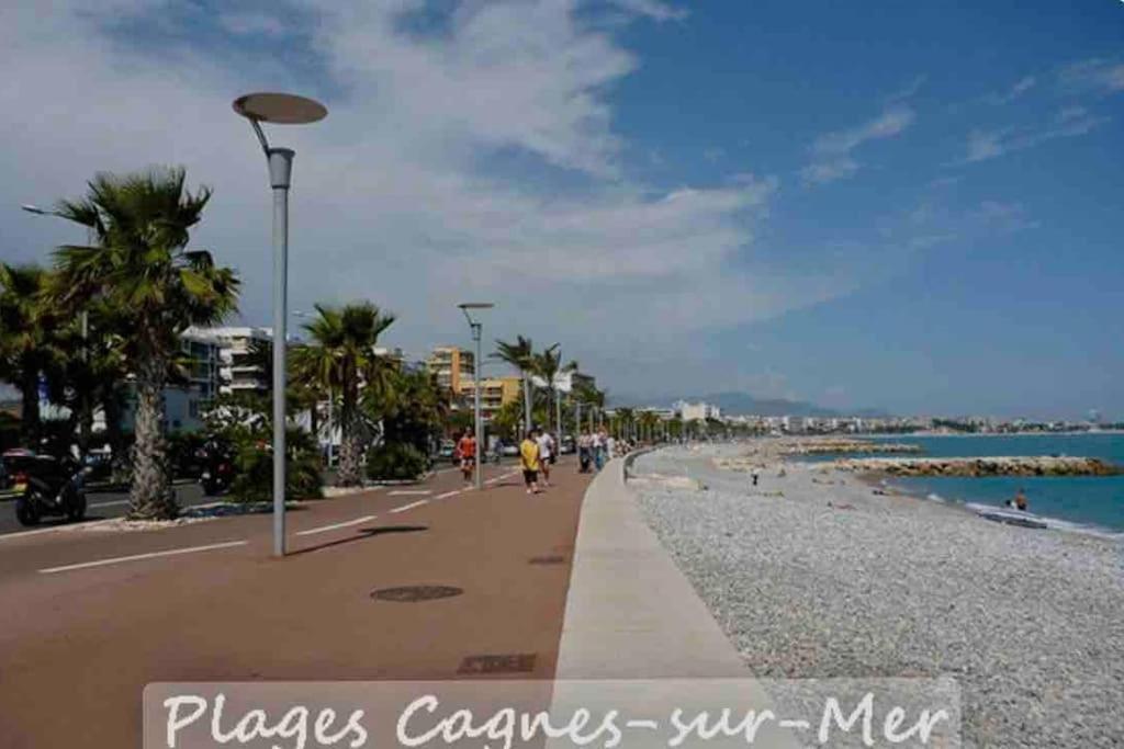 Maison Du Bonheur Cagnes-sur-Mer Dış mekan fotoğraf